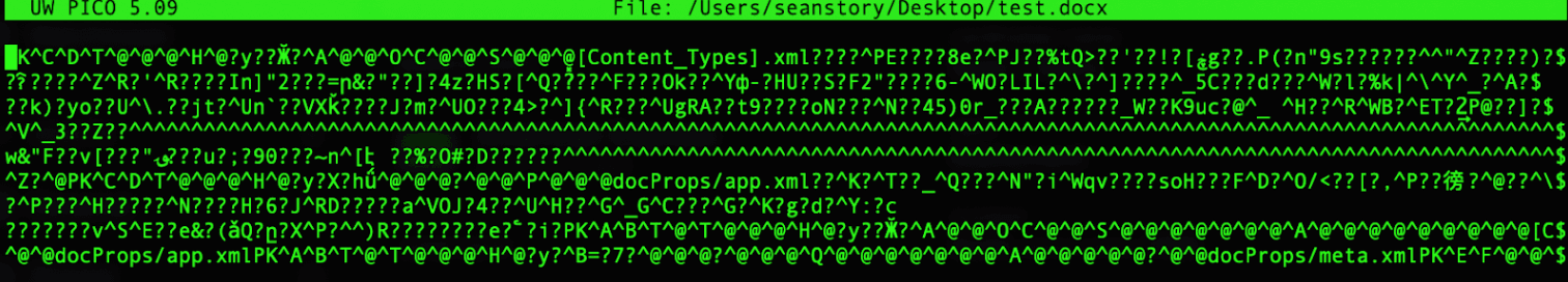 test.docx in nano